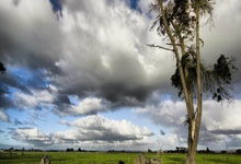 江苏女排爆冷输球，刁琳宇缺席影响大，匡奇颜面尽失，缪伊雯74扣.