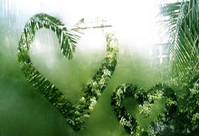 [中超]第28轮：成都蓉城VS上海海港.