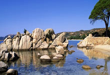 28圈官网：乐弈场第九届月赛：王修勋李爽分夺积分实力榜首.